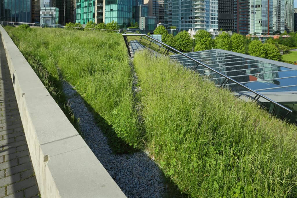 green-roof-advantages-and-disadvantages-pro-advice