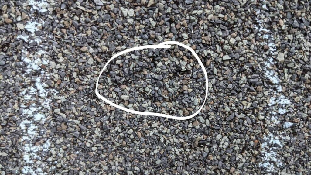 Hail Damage Roof Inspection - Bruises from Hail Impact on an Asphalt Shingle