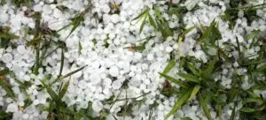 Aftermath of a hailstorm