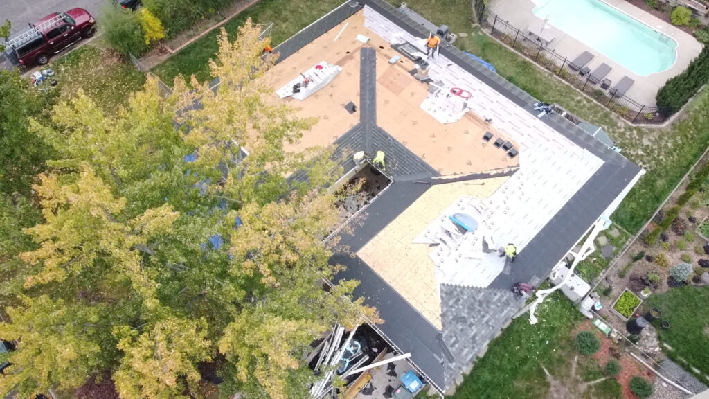 Hail bruising with granule loss on asphalt shingles in Wayzata