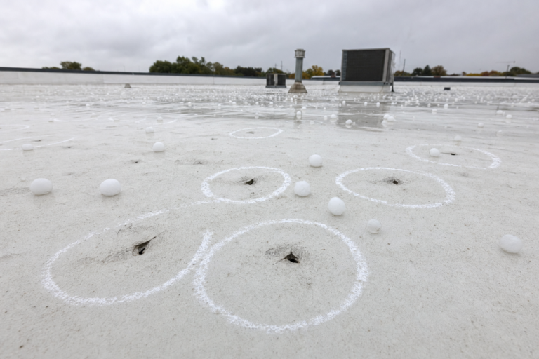 Hail-damaged commercial TPO membrane in Columbia Heights, MN with adjuster chalk circles marking impacts