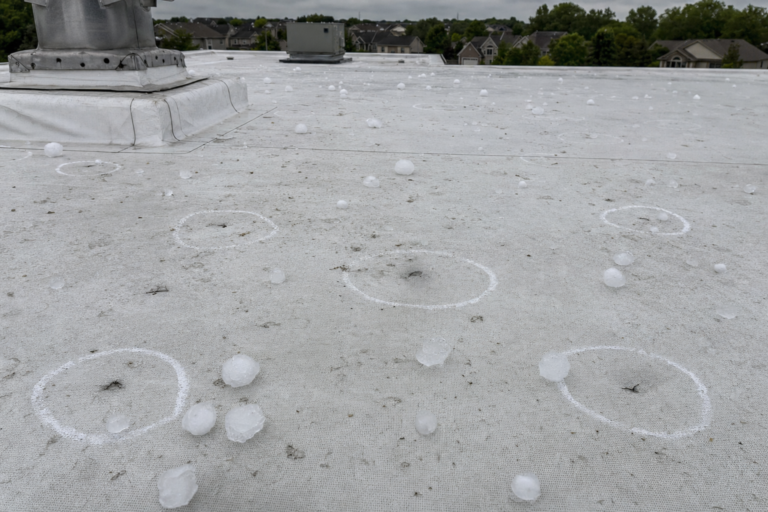 Hail-damaged commercial TPO membrane in Coon Rapids, MN with adjuster chalk circles marking impacts