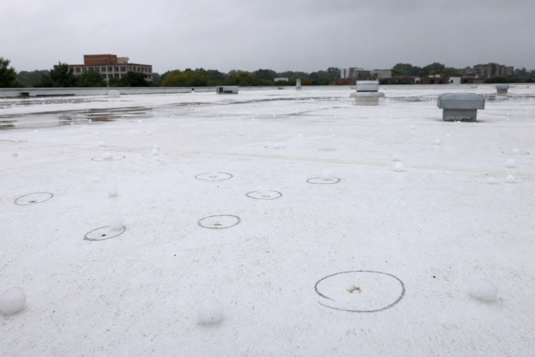 Hail-damaged commercial TPO membrane in Falcon Heights, MN with adjuster chalk circles marking impacts