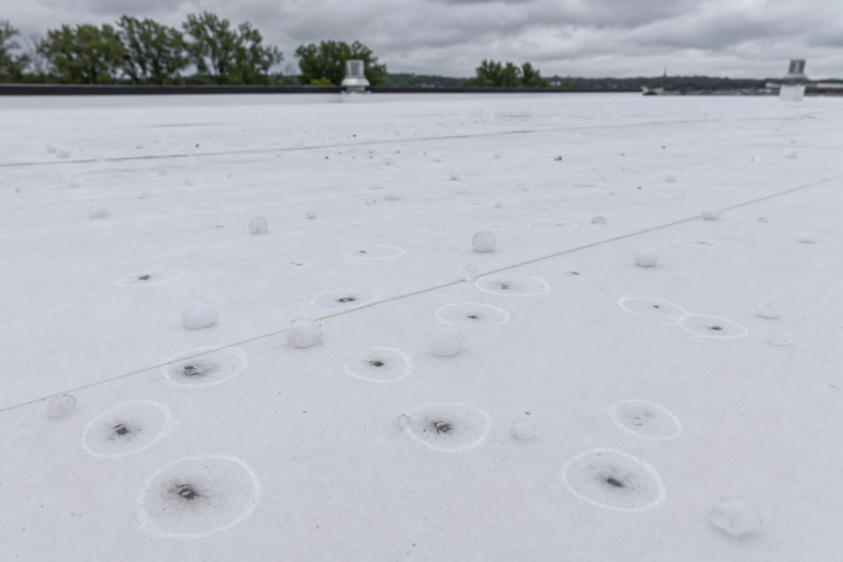Hail-damaged commercial TPO membrane in Hastings, MN with adjuster chalk circles marking impacts