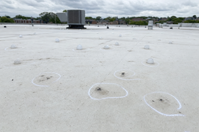 Hail-damaged commercial TPO membrane in Hopkins, MN with adjuster chalk circles marking impacts