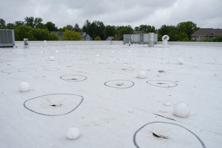 Hail-damaged commercial TPO membrane in Maple Grove, MN with adjuster chalk circles marking impacts