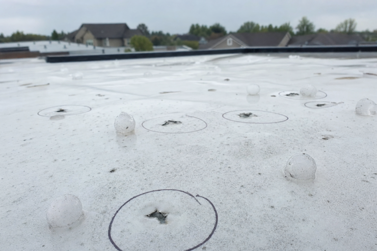 Hail-damaged commercial TPO membrane in Rosemount, MN with adjuster chalk circles marking impacts