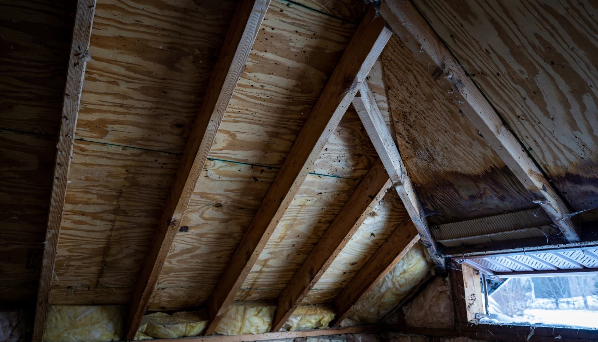 Why Do North-Facing Roofs in St. Paul Develop Ice Dams? Attic rafters and insulation with a small stain near the roof eave.