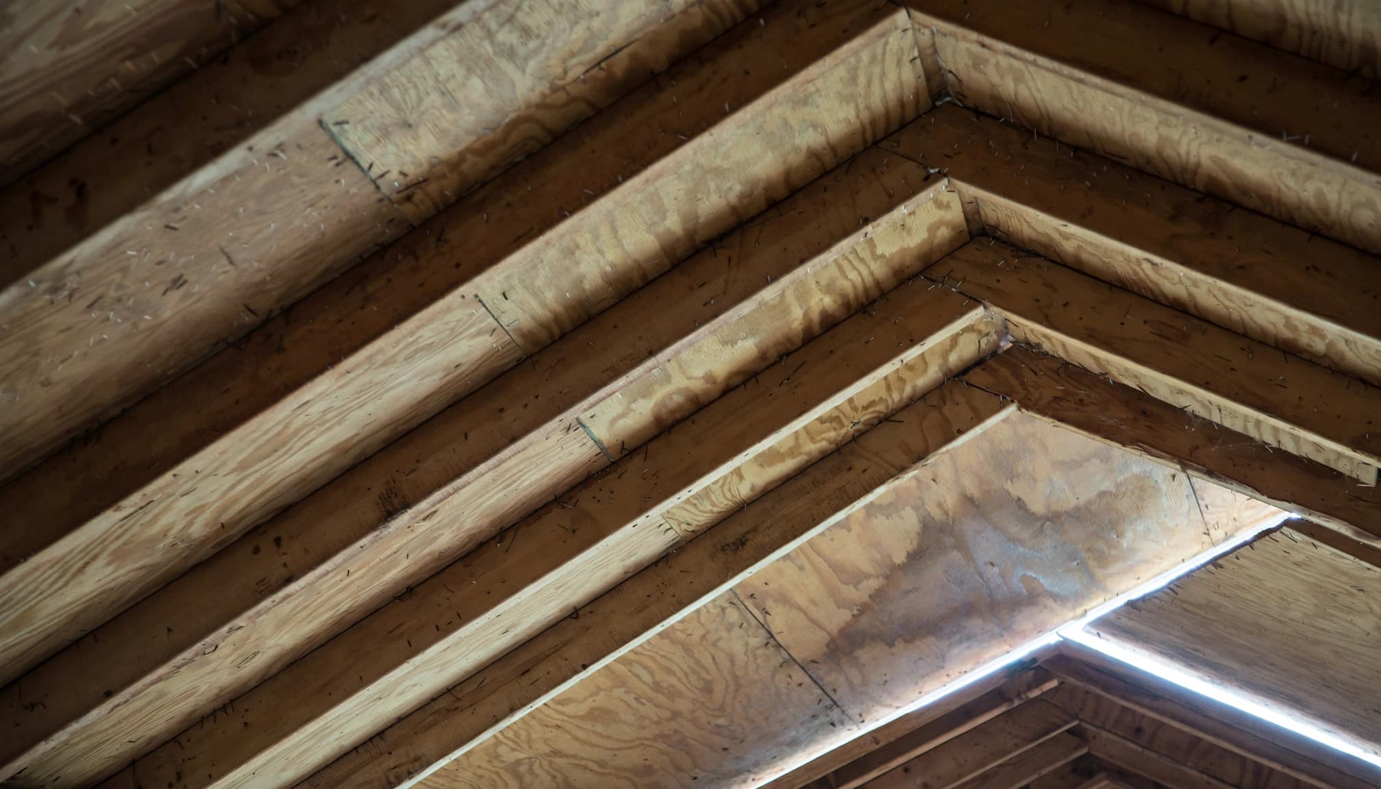 Can Wind Damage Minnesota Eaves Before Shingles Lift? Interior view of an attic showing wooden rafters and roof sheathing with daylight at the edge.